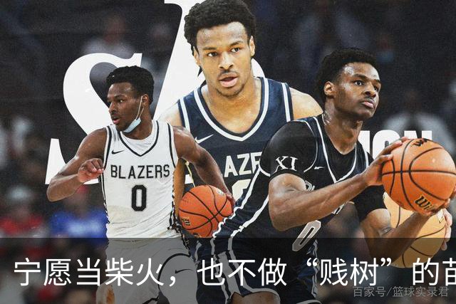 宁愿当柴火，也不做“贱树”的苗老板